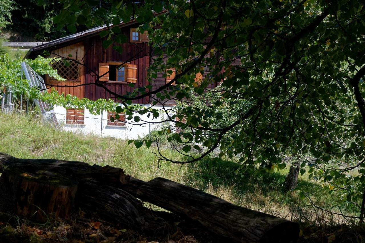 Landhaus Tenne Bartholomäberg Buitenkant foto