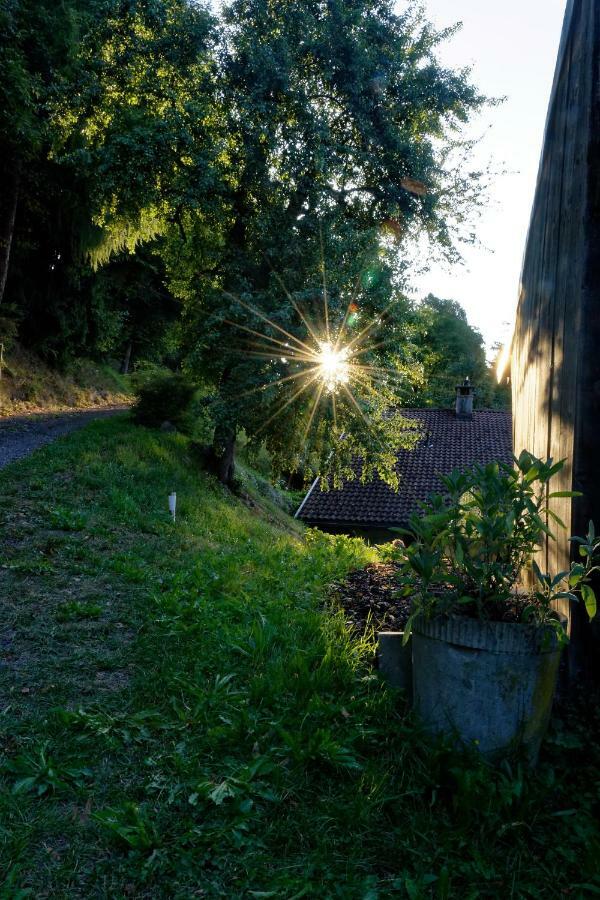 Landhaus Tenne Bartholomäberg Buitenkant foto