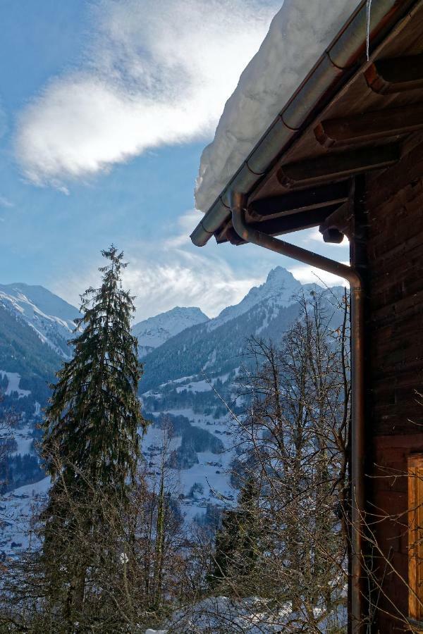 Landhaus Tenne Bartholomäberg Buitenkant foto